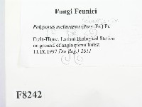 登錄號:F0008242藏品圖，第2張