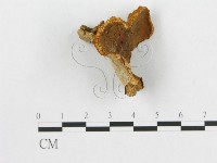 登錄號:F0008242藏品圖，第3張