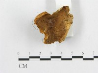 登錄號:F0008242藏品圖，第4張