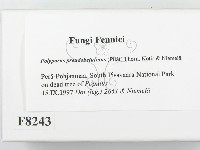 登錄號:F0008243藏品圖，第2張