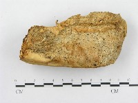 登錄號:F0008243藏品圖，第3張