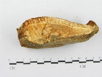 登錄號:F0008243藏品圖，第4張