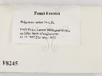 登錄號:F0008245藏品圖，第2張