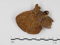 登錄號:F0008245藏品圖，第1張
