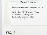 登錄號:F0008246藏品圖，第2張