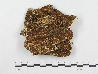 登錄號:F0008246藏品圖，第3張