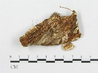 登錄號:F0008247藏品圖，第3張