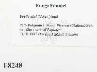 登錄號:F0008248藏品圖，第2張