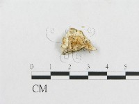 登錄號:F0008248藏品圖，第3張