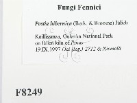 登錄號:F0008249藏品圖，第2張