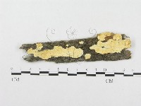 登錄號:F0008249藏品圖，第1張