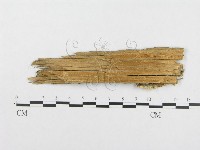 登錄號:F0008249藏品圖，第3張