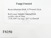 登錄號:F0008250藏品圖，第2張