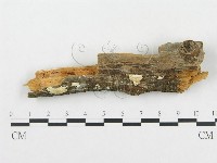 登錄號:F0008250藏品圖，第1張