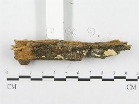 登錄號:F0008250藏品圖，第3張