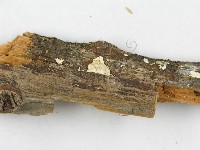 登錄號:F0008250藏品圖，第4張