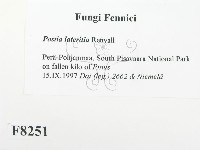 登錄號:F0008251藏品圖，第2張