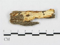 登錄號:F0008251藏品圖，第1張