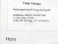 登錄號:F0008253藏品圖，第2張