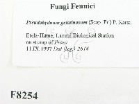 登錄號:F0008254藏品圖，第2張