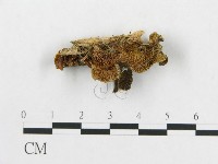 登錄號:F0008254藏品圖，第1張
