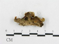 登錄號:F0008254藏品圖，第3張