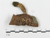登錄號:F0008257藏品圖，第1張