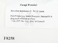 登錄號:F0008258藏品圖，第2張