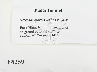 登錄號:F0008259藏品圖，第2張