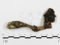 登錄號:F0008259藏品圖，第1張