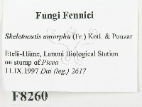 登錄號:F0008260藏品圖，第2張