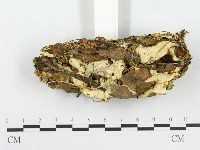 登錄號:F0008260藏品圖，第3張