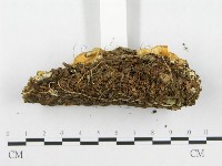 登錄號:F0008260藏品圖，第5張