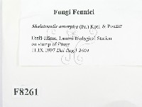 登錄號:F0008261藏品圖，第2張