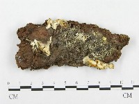 登錄號:F0008261藏品圖，第1張