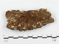 登錄號:F0008261藏品圖，第3張