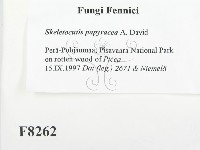 登錄號:F0008262藏品圖，第2張