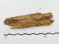 登錄號:F0008262藏品圖，第3張