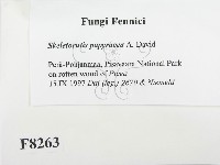 登錄號:F0008263藏品圖，第2張