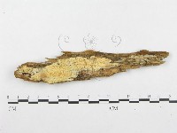 登錄號:F0008263藏品圖，第1張