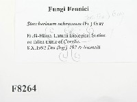 登錄號:F0008264藏品圖，第2張