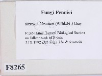 登錄號:F0008265藏品圖，第2張