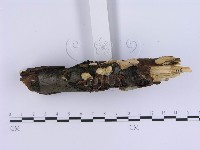 登錄號:F0008265藏品圖，第3張