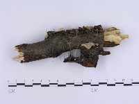 登錄號:F0008265藏品圖，第4張