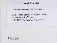 登錄號:F0008266藏品圖，第2張