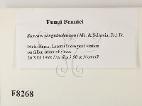 登錄號:F0008268藏品圖，第2張
