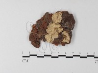登錄號:F0008268藏品圖，第1張