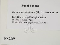 登錄號:F0008269藏品圖，第2張