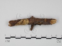 登錄號:F0008269藏品圖，第1張