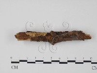 登錄號:F0008269藏品圖，第3張